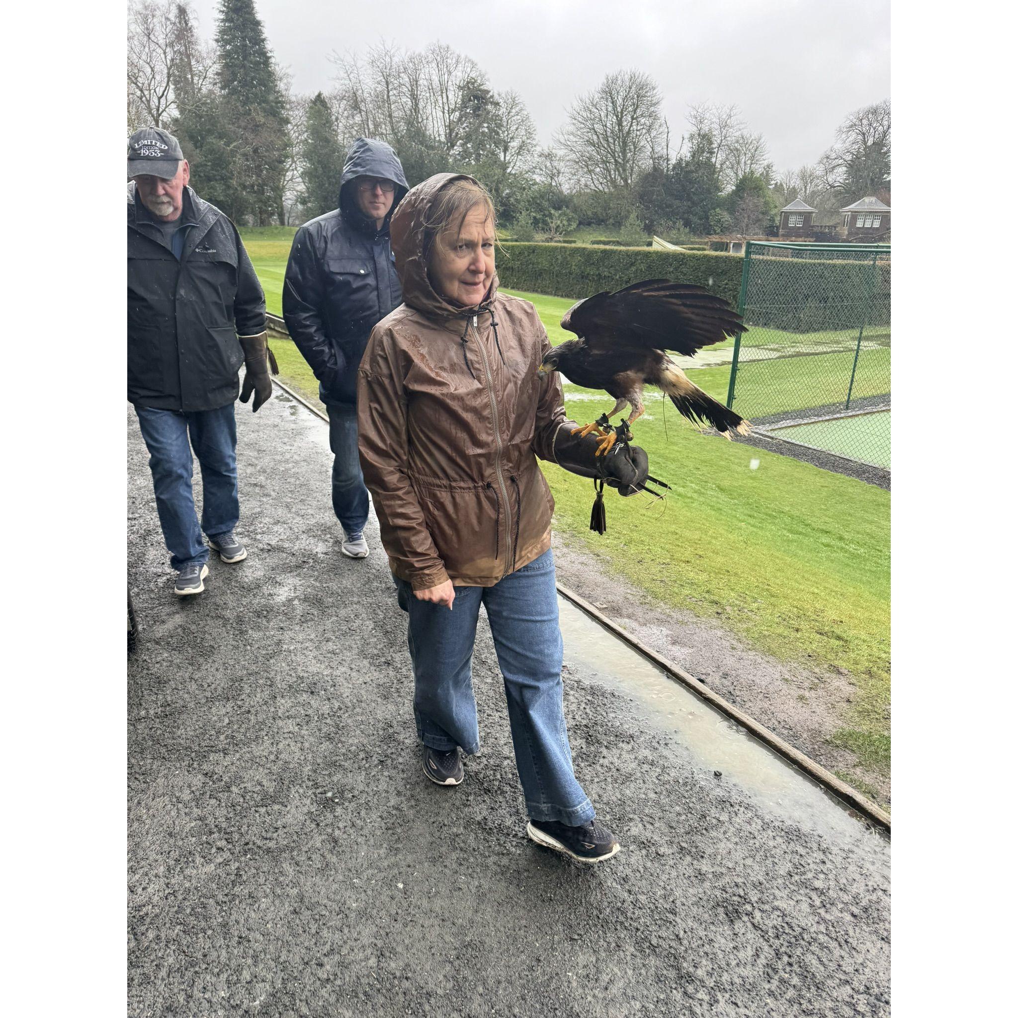 Falconry in Scotland
