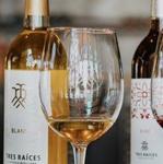 Wine Tour & Tasting