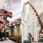 Field Museum