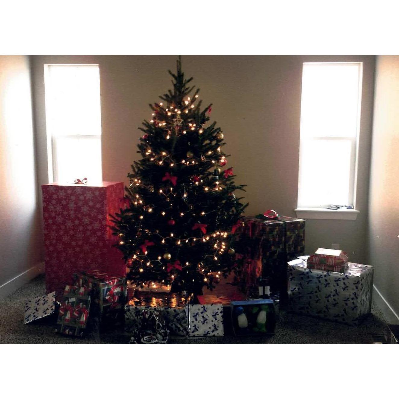 Our first Christmas in our new house.