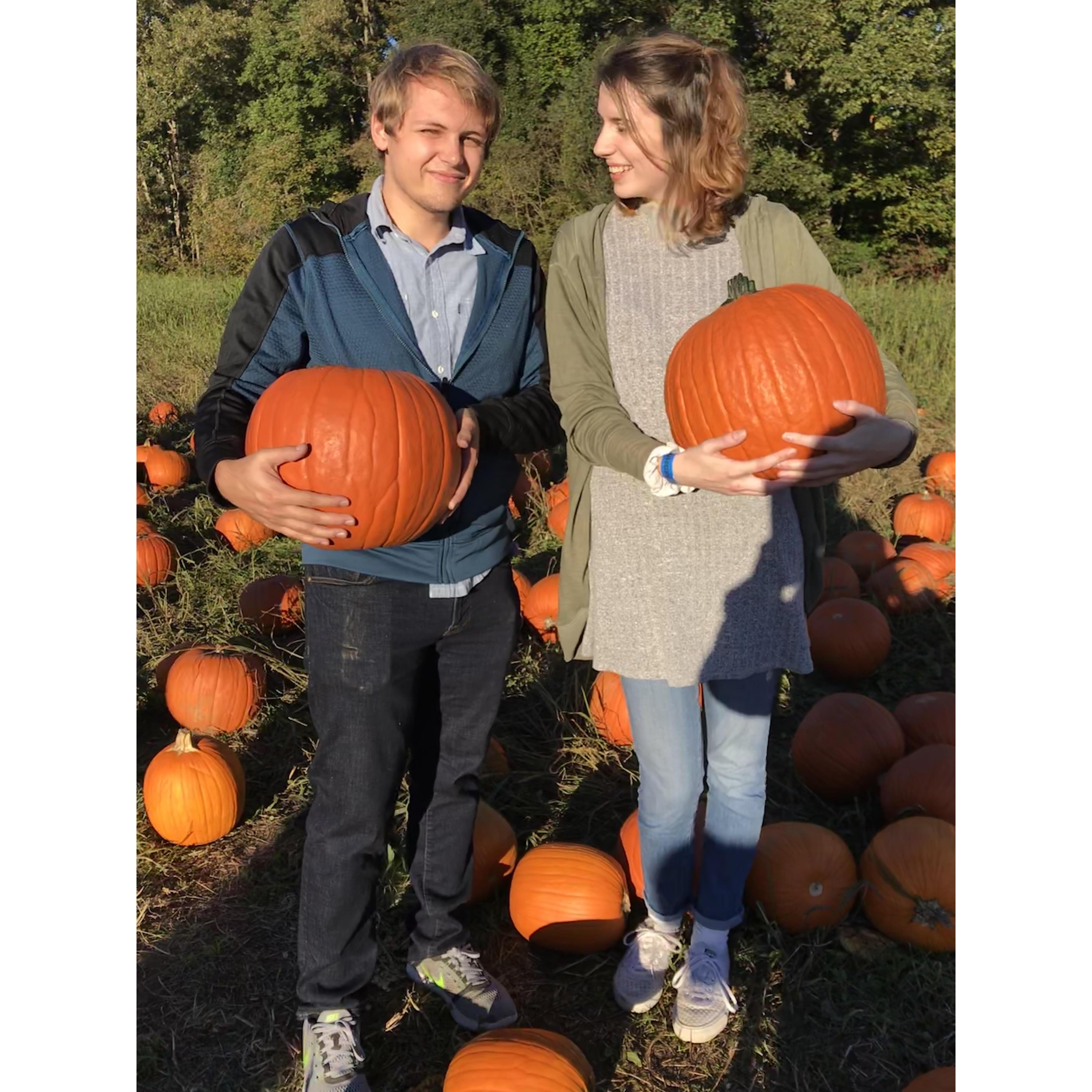 We took our time to find the best picks from the pumpkin patch.