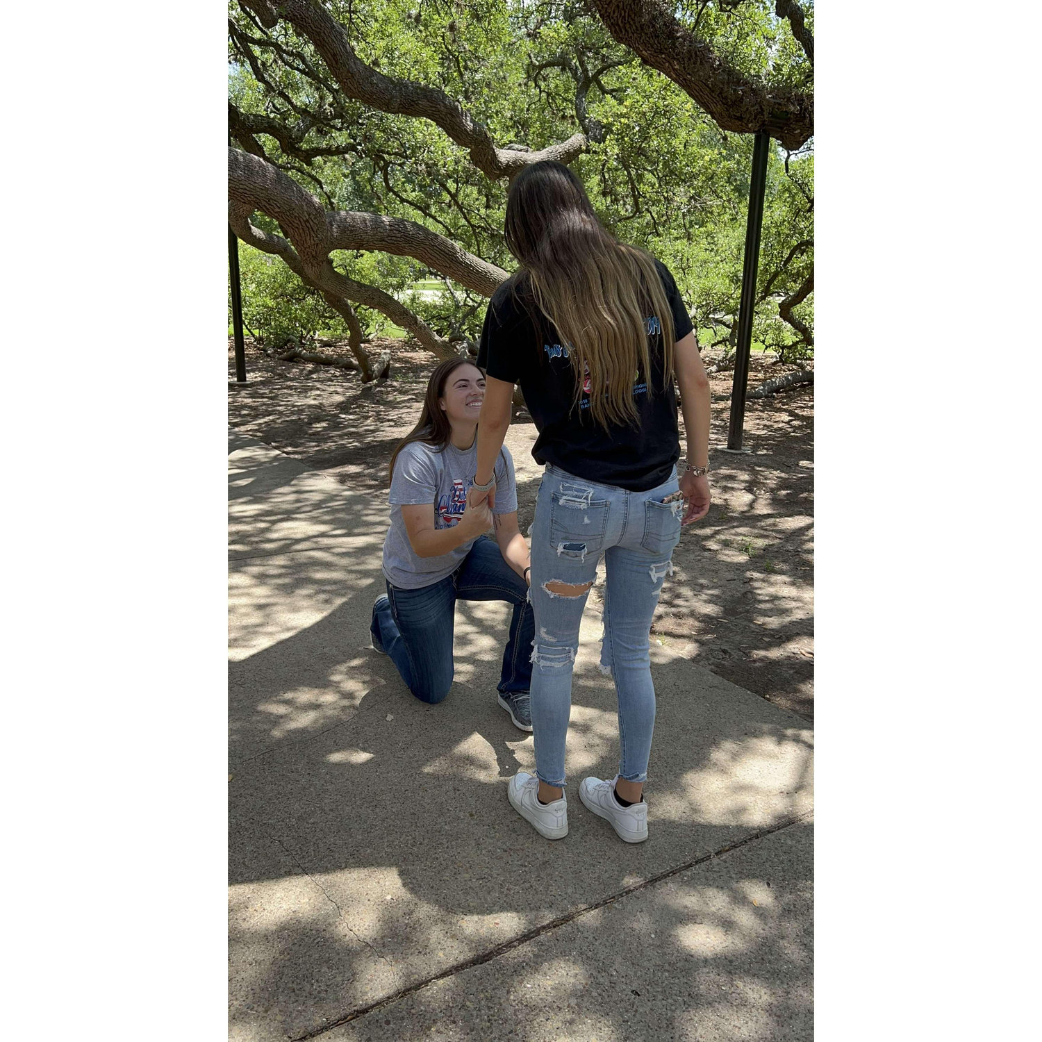 Ash said "yes" under The Century Tree!