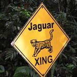 Cockscomb Wildlife Sanctuary & Jaguar Reserve