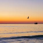 Clearwater Beach