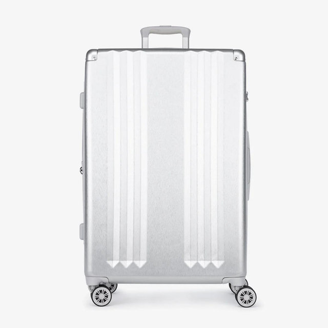 Ambeur Large Luggage - Silver