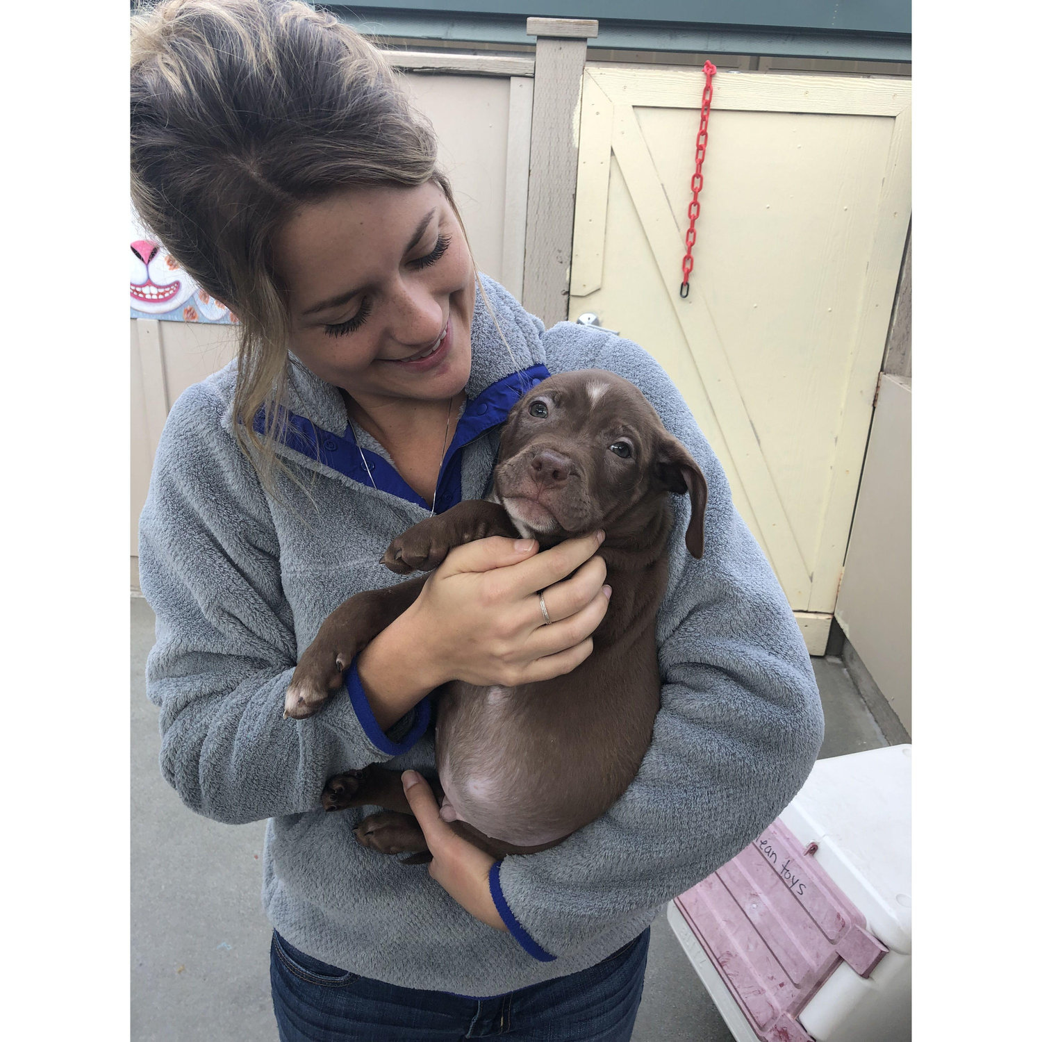 The day we snuck Fred out of the pound!