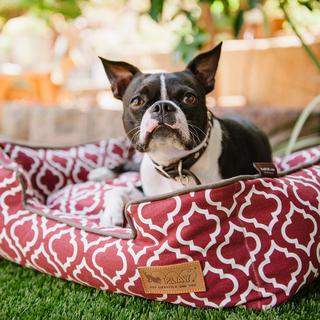 Moroccan Lounge Pet Bed
