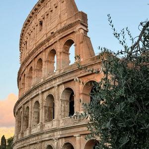 Tour of the Colosseum in Rome