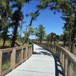 Gordons Pond Trail