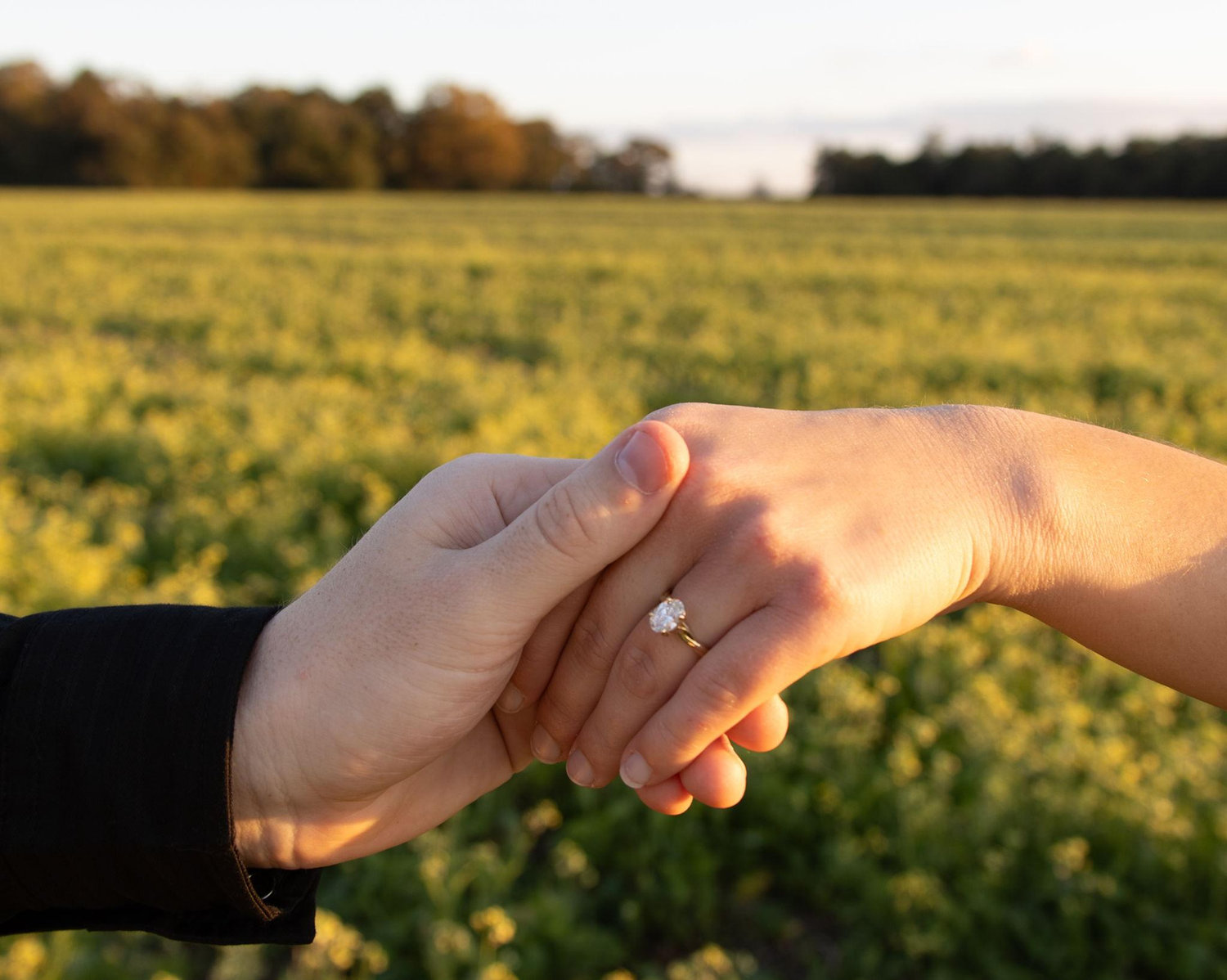 The Wedding Website of Annabelle McAlarney and Sawyer Moore