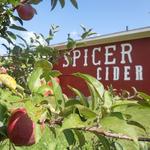 Spicer Orchards Farm Market, Cider Mill, Fudge, Bakery