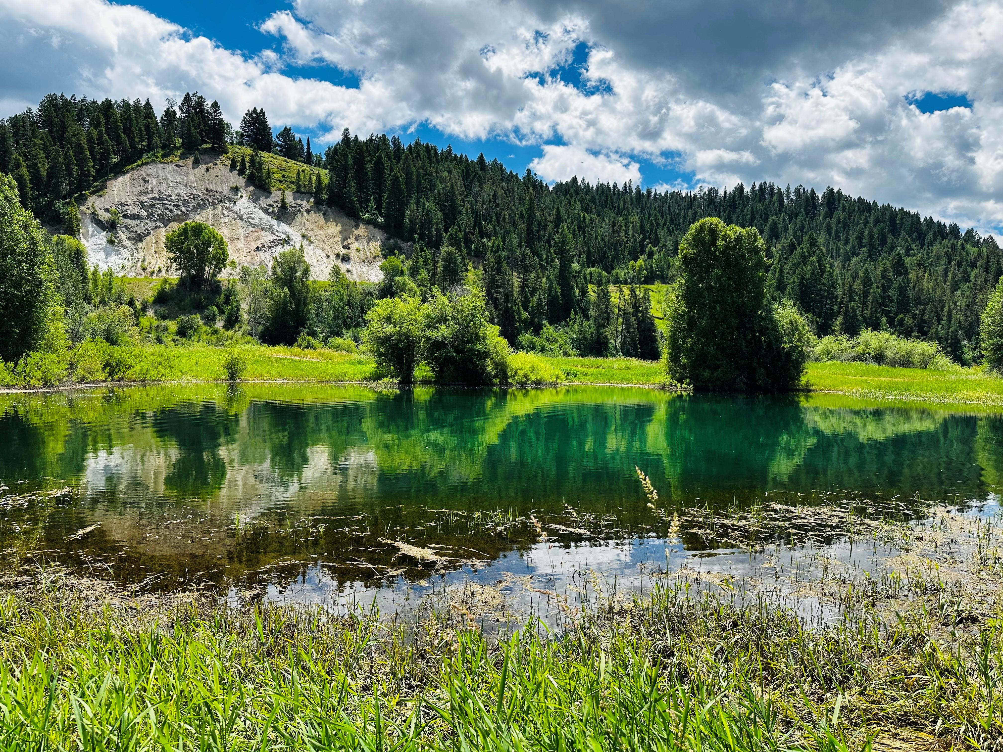 The Wedding Website of Tina Higgitt and Ryan Sievers