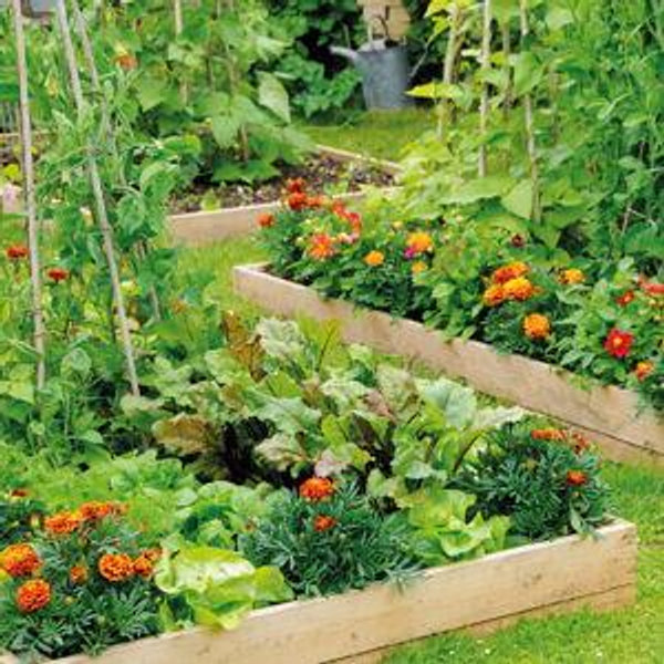 Garden Bed Construction