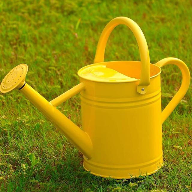 Joequality Watering Can for Outdoor Plants，1 Gallon Metal Plant Watering Can with Detachable Diffuser Spout，Galvanized Steel Gardening Tools，Yellow