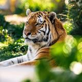 Denver Zoo