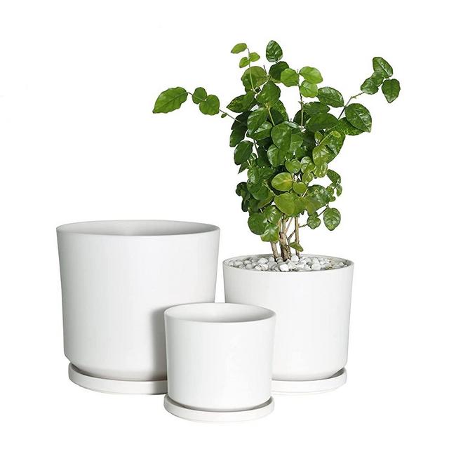 Buyaround Plant Pots, Ceramic Planters Indoor, Modern White Flower Pots with Drainage Hole and Saucer, Set of 3 (5.9 + 7.6 + 9.2 Inch)