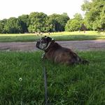 Prospect Park