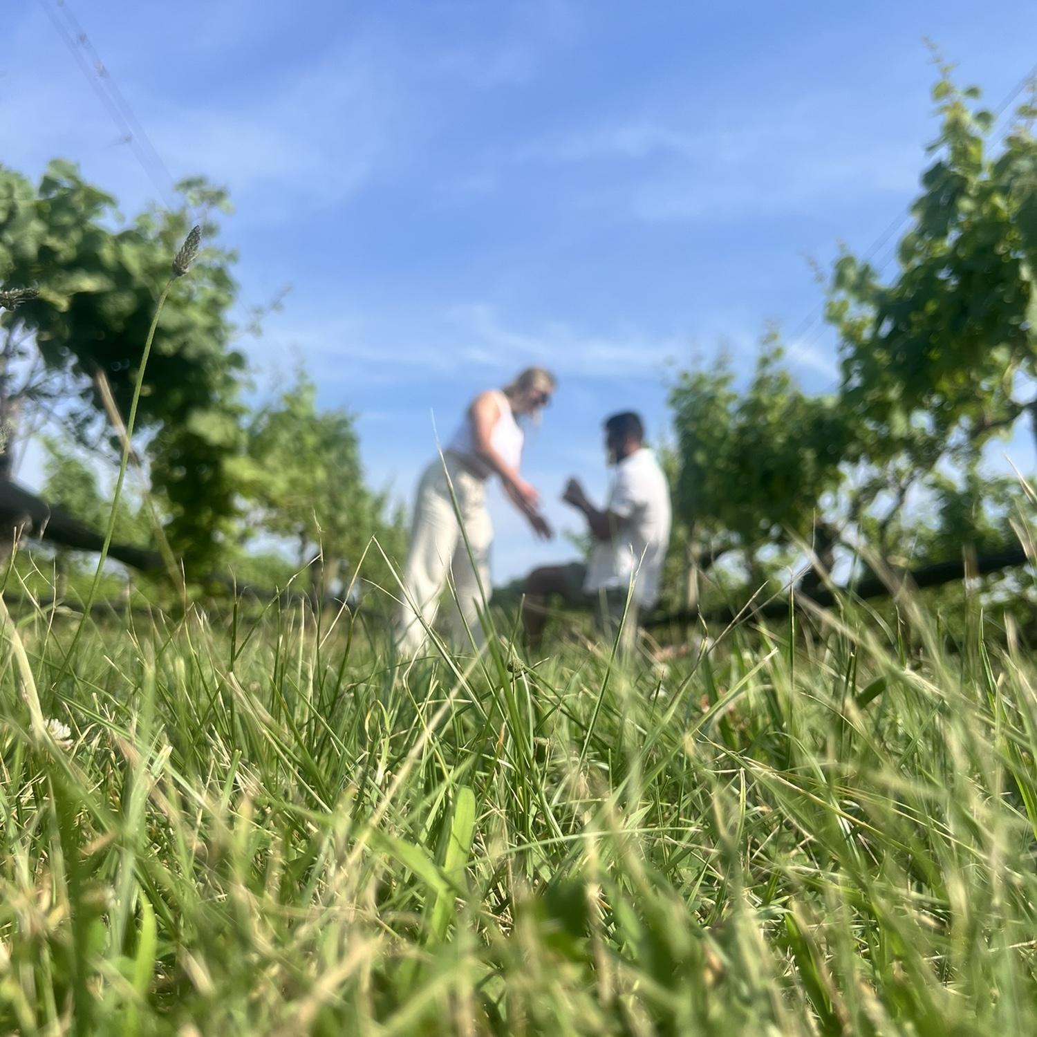 He asked, she said yes!!