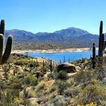 Best Trails in Carefree