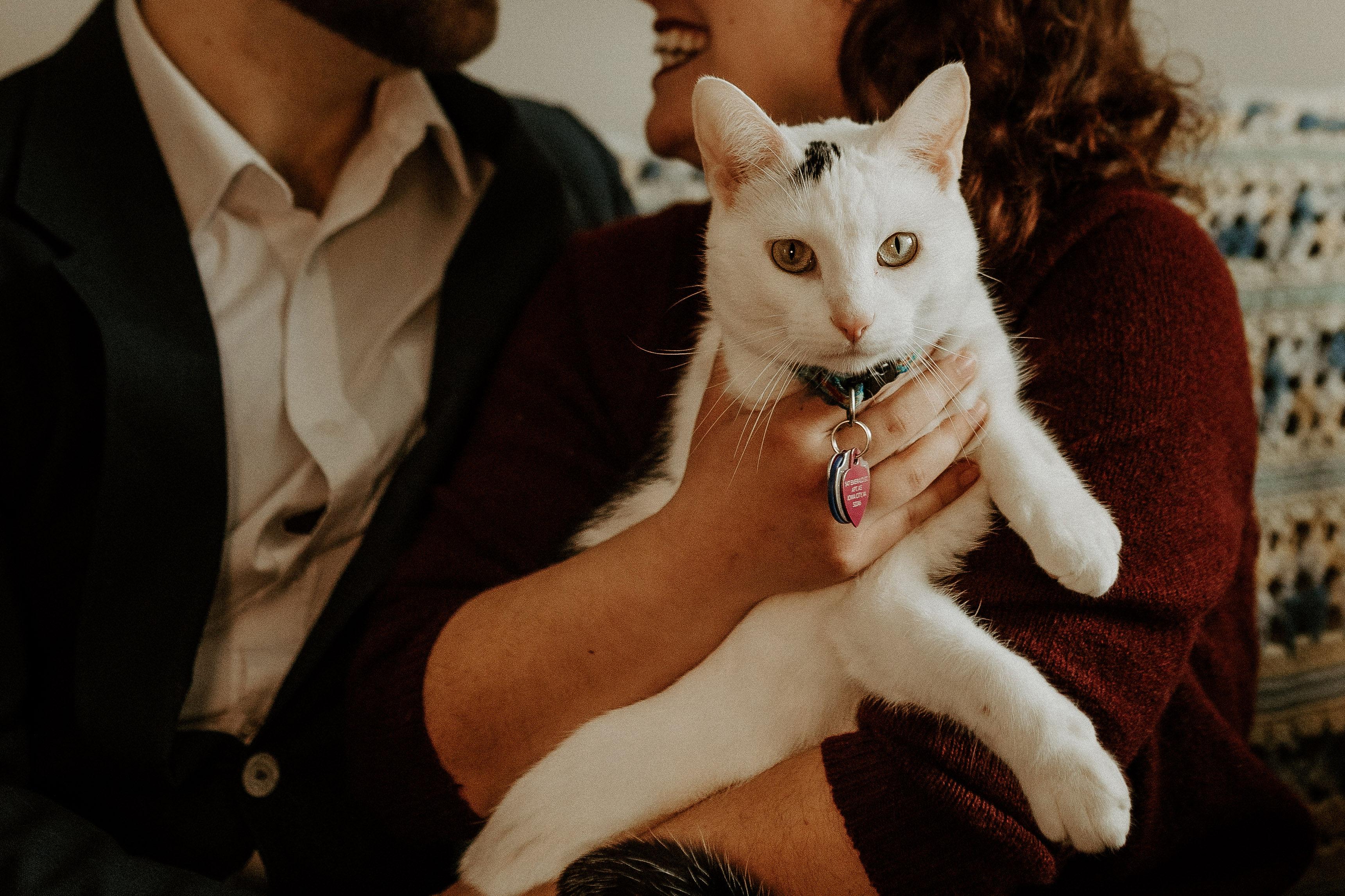 The Wedding Website of Elijah Jones and Allison Woitte