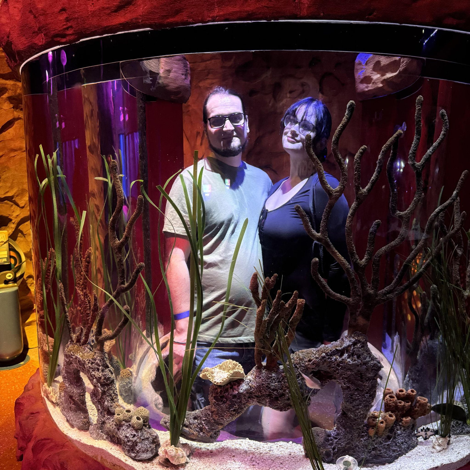 Aquarium in Orlando 2024