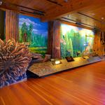 Giant Forest Museum