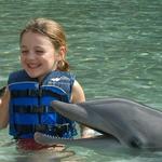 Dolphin Quest Hawaii - Swim with Dolphins