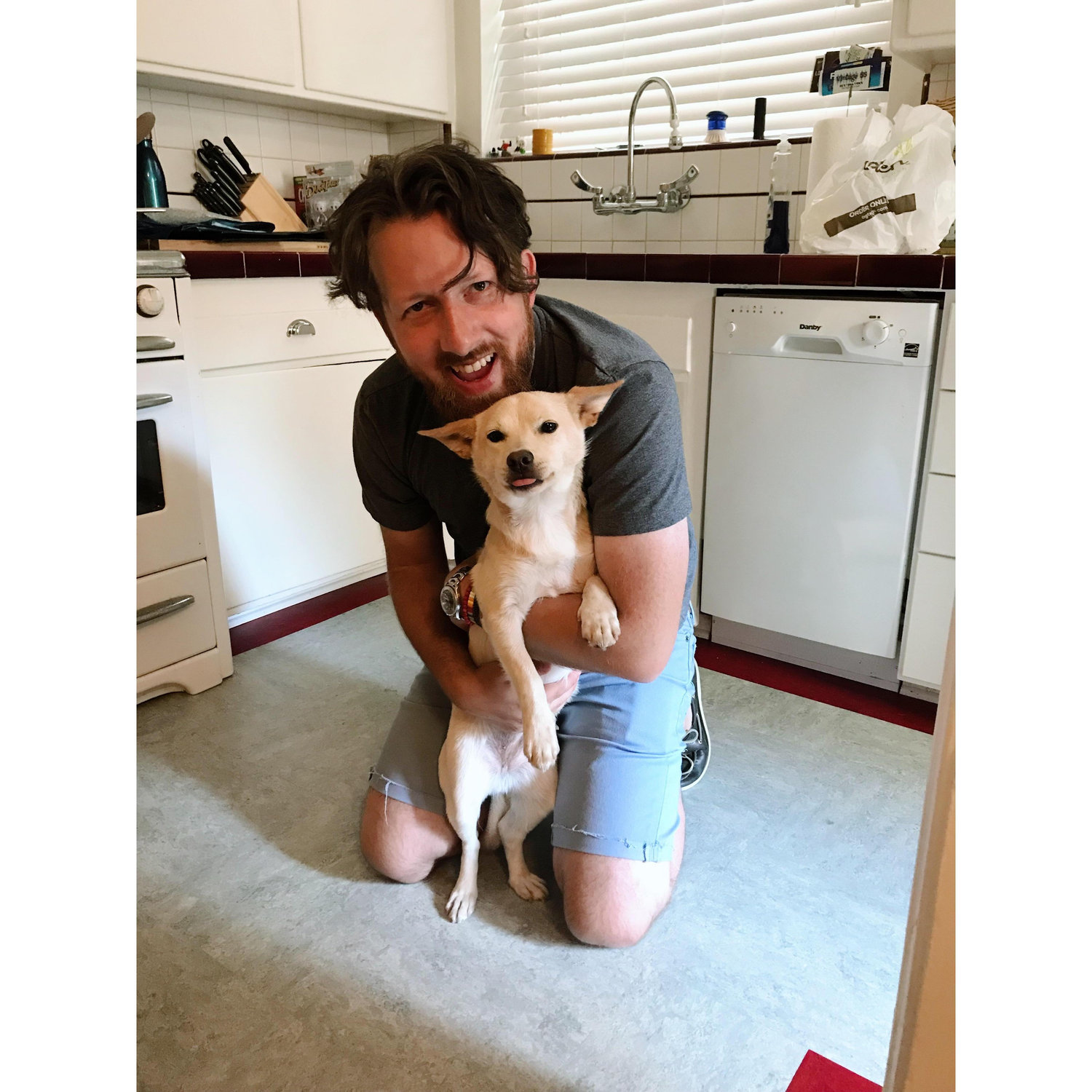 July 15, 2018 - Adopted Nova the Jindo!