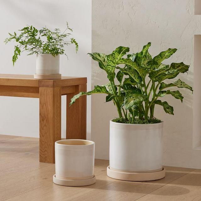 Sketchbook Ceramic Indoor/Outdoor Planters