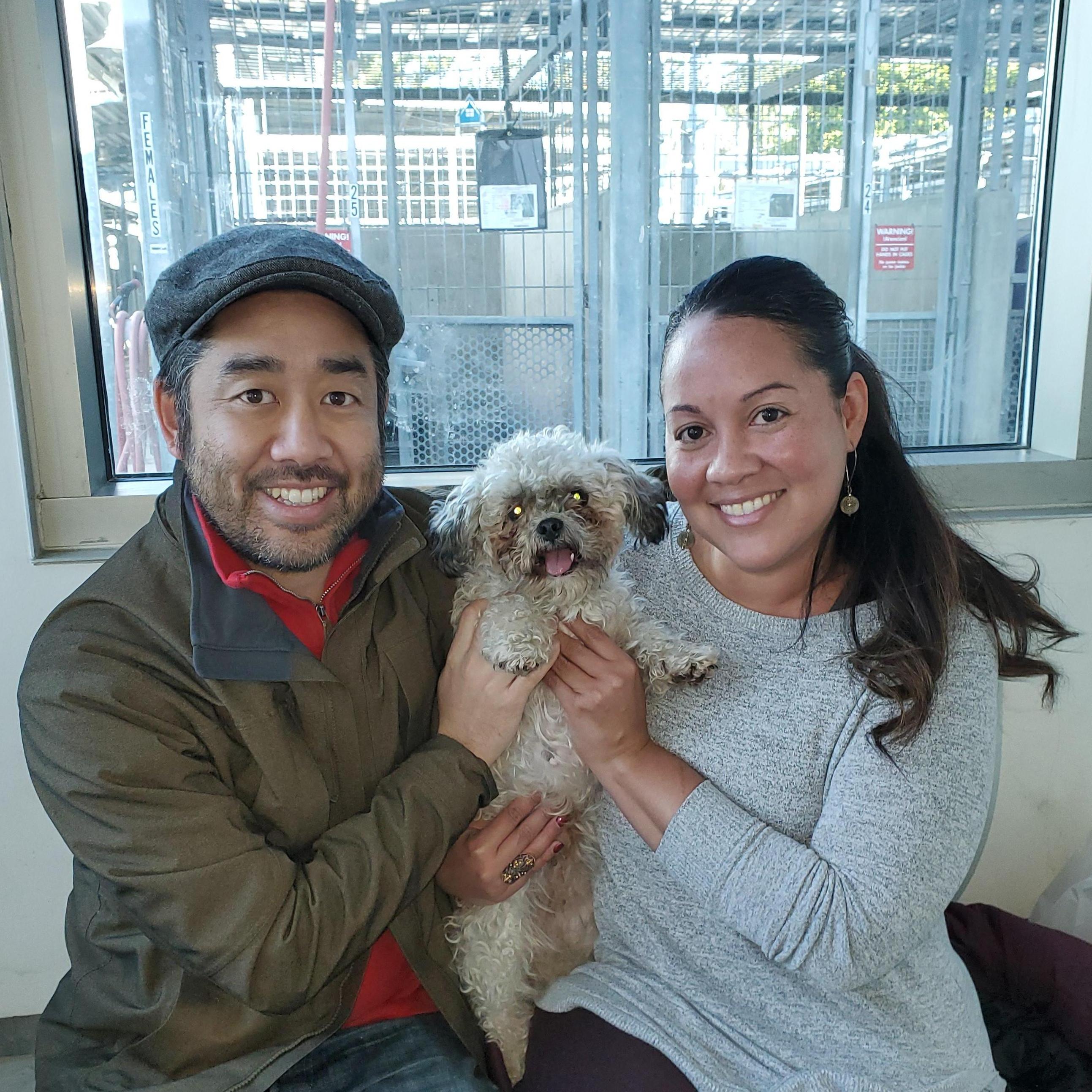 The day we adopted our wild child, our baby girl...Arya! Aaaand later that day Roy proposed.  It was the perfect day!