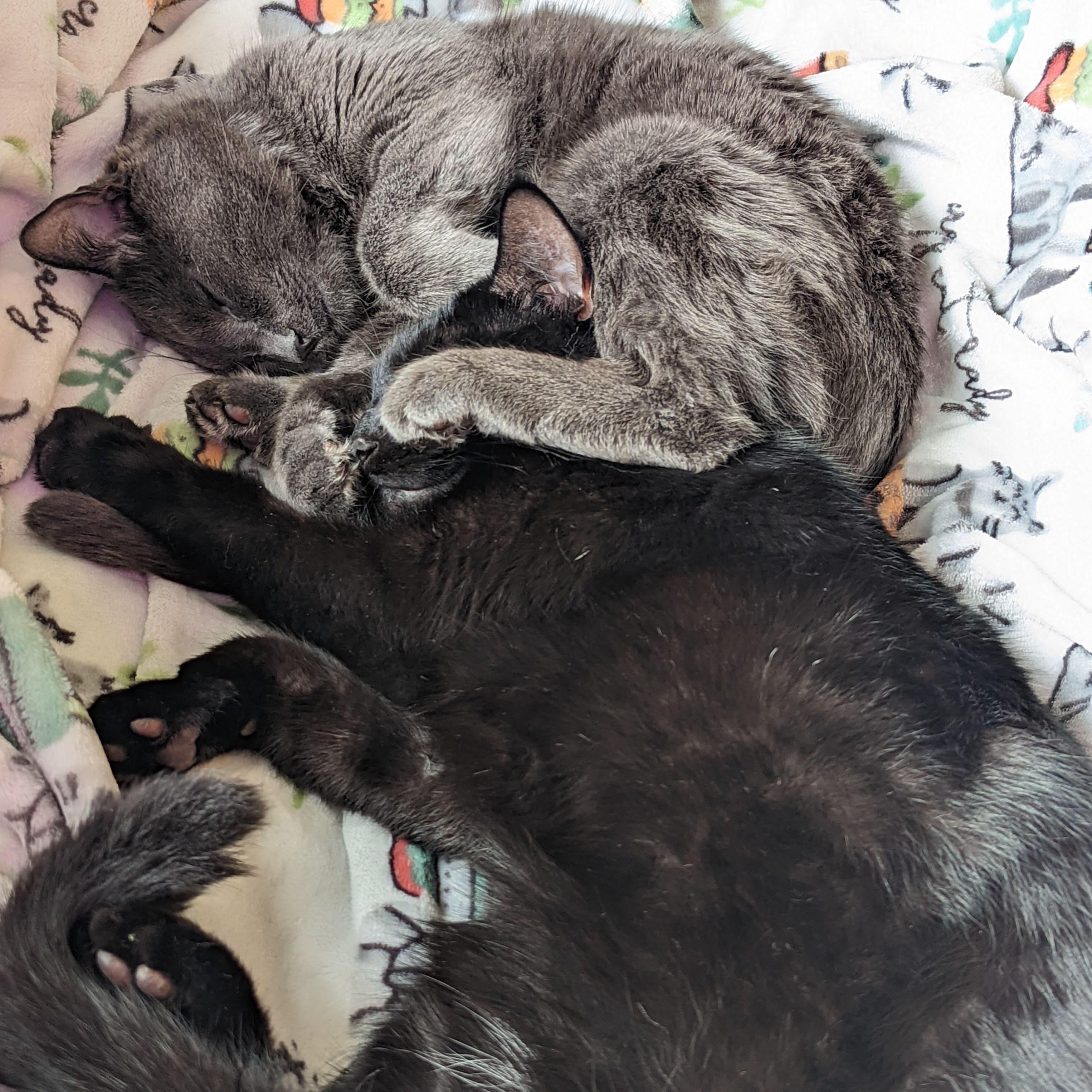 Ezri & Ruin