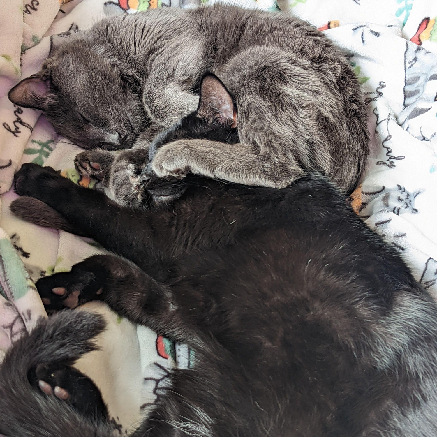 Ezri & Ruin