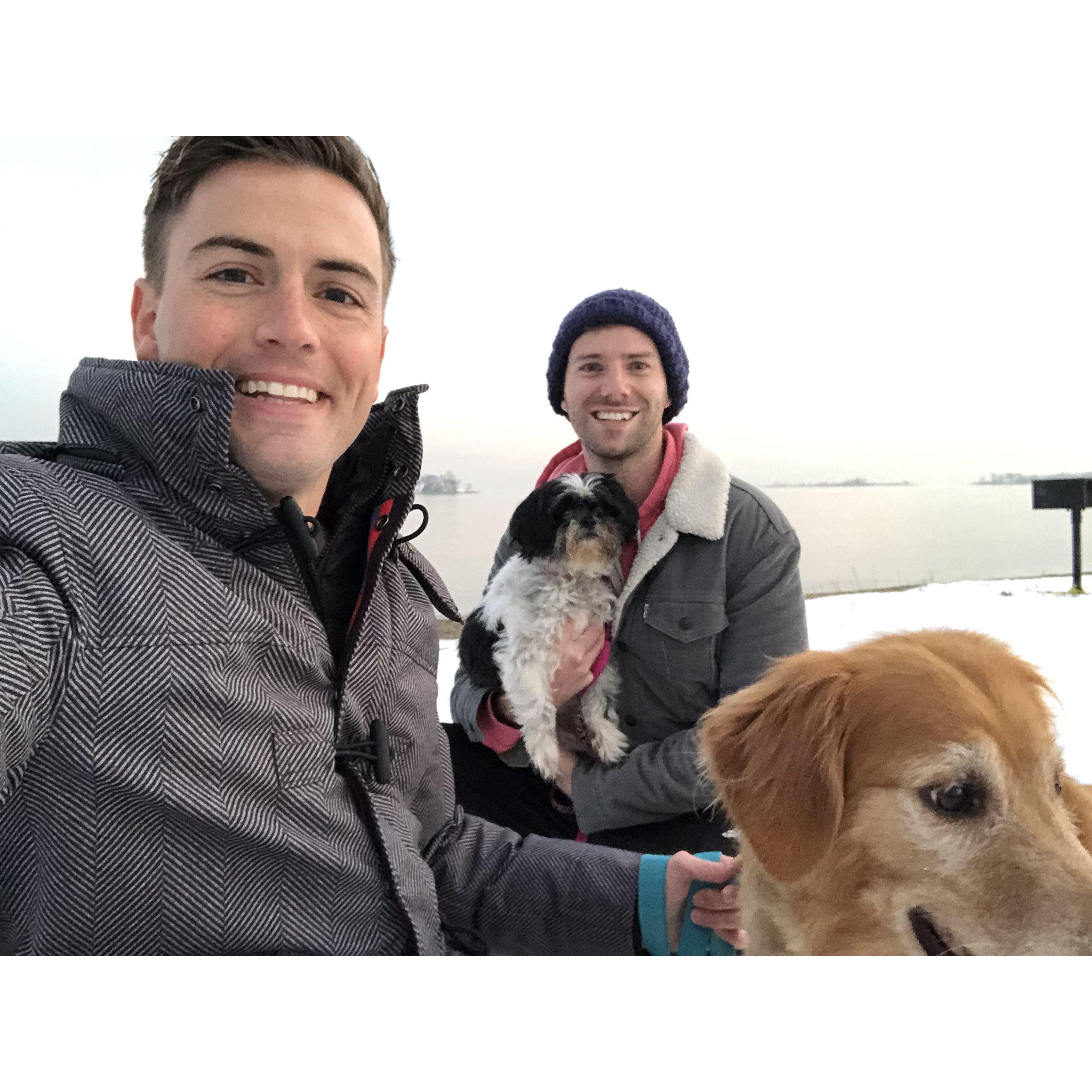 Dog Walk!