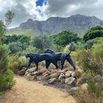 Dylan Lewis Studio & Sculpture Garden