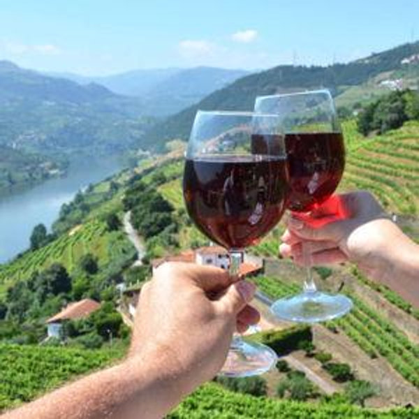Wine Tasting in Douro Valley