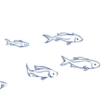 Libreti Rose Sport Fishing Charters