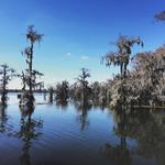 Lake Martin