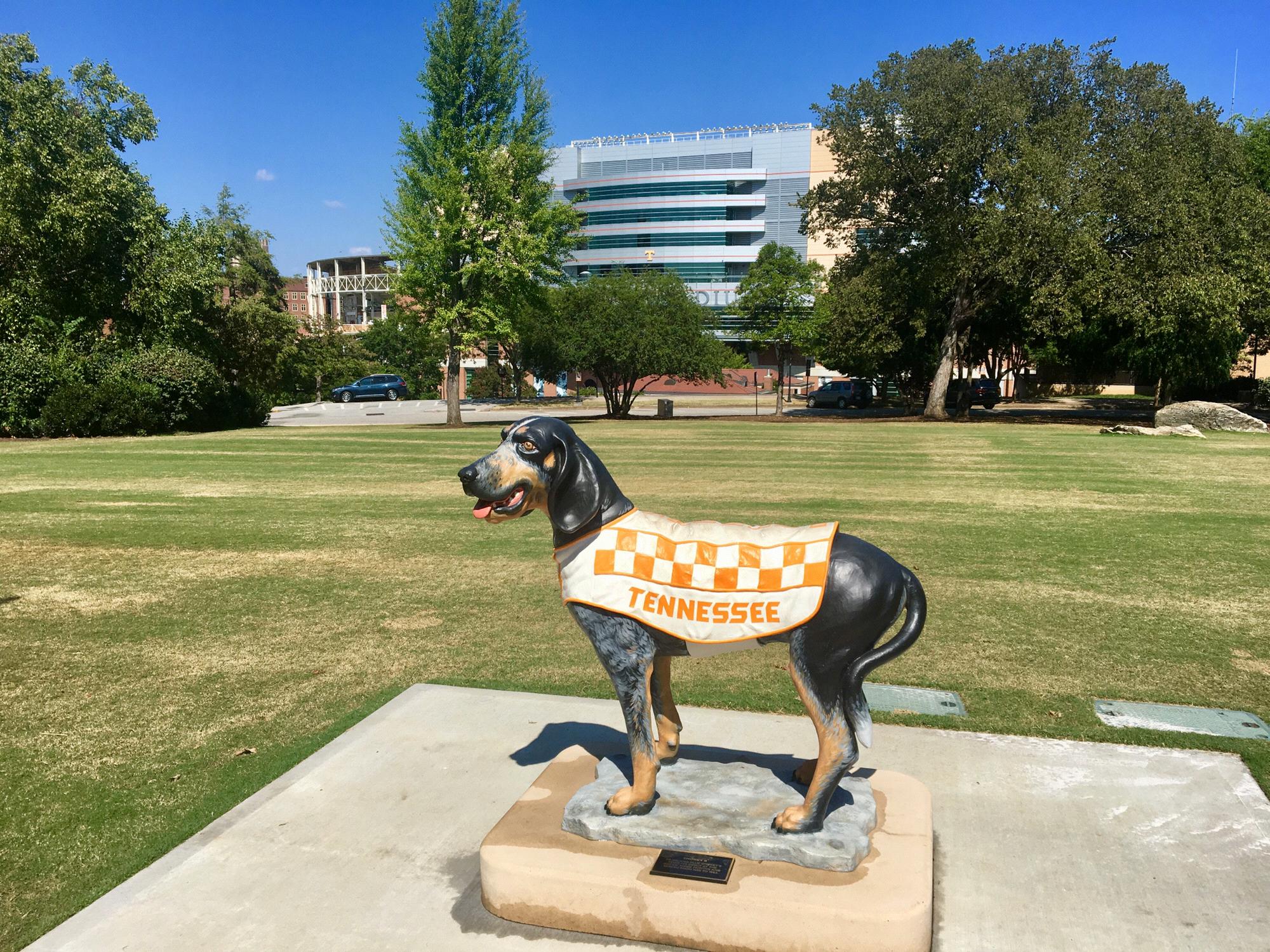 Zac and I met at the University of Tennessee-Knoxville. Neyland Stadium will always have a special place in our hearts, so many fun memories made here.