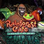 Rainforest Cafe