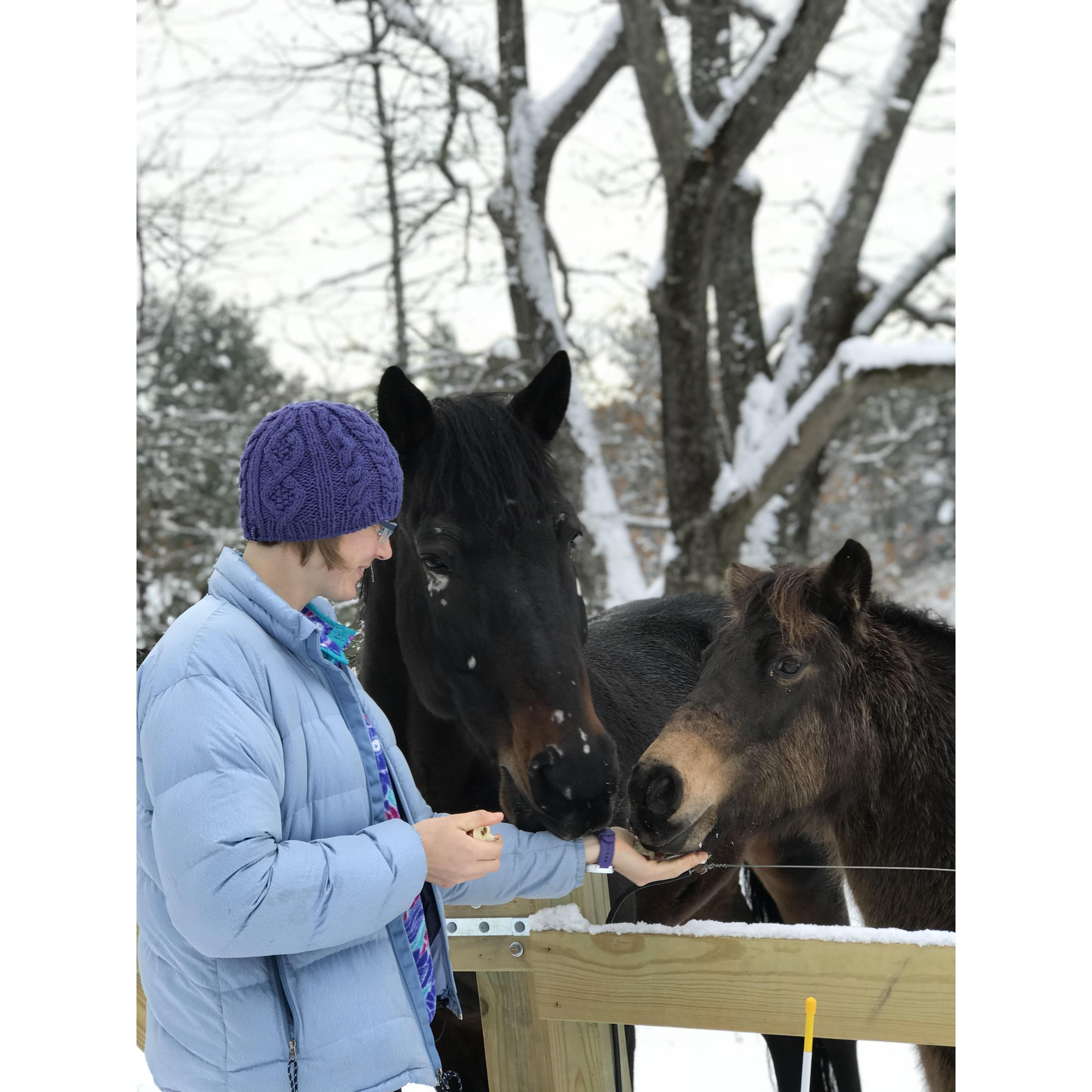 The barn was finished, and Timmy and Butter did move in.