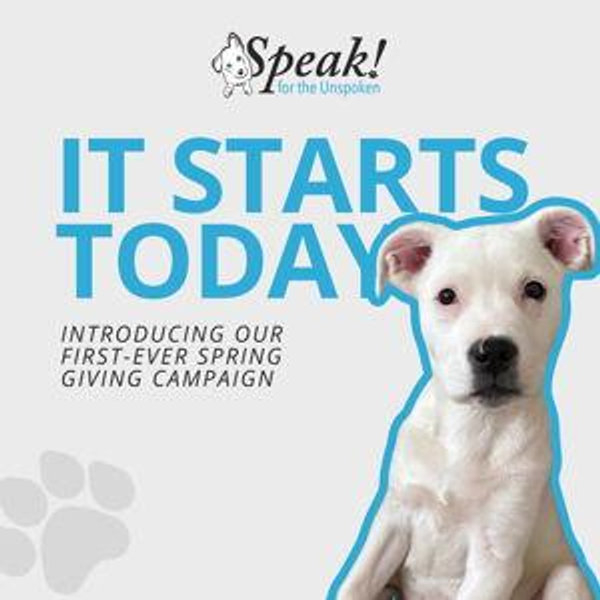 Speak For the Unspoken