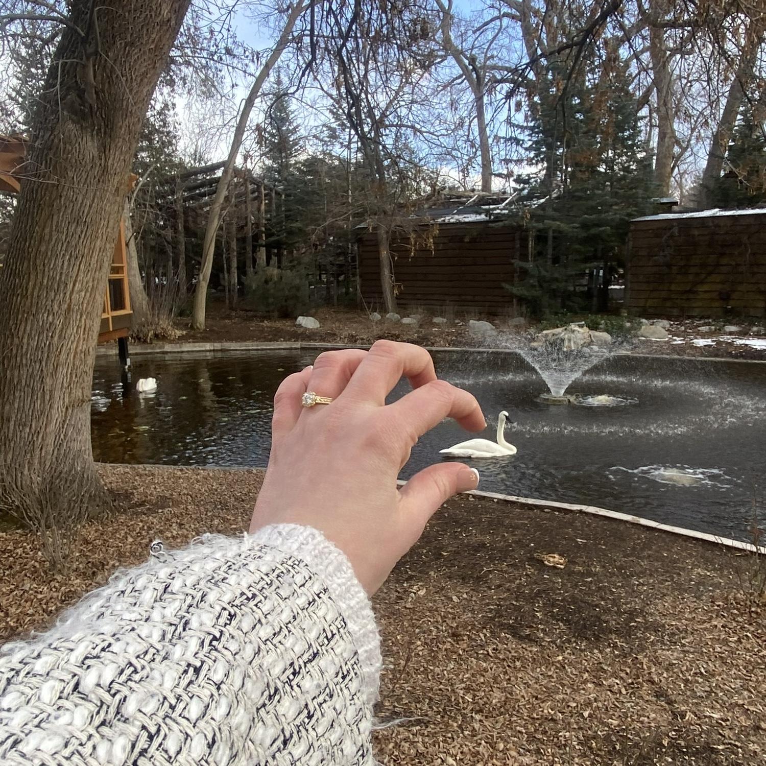 Look! A tiny swan!
 (And a pretty ring)