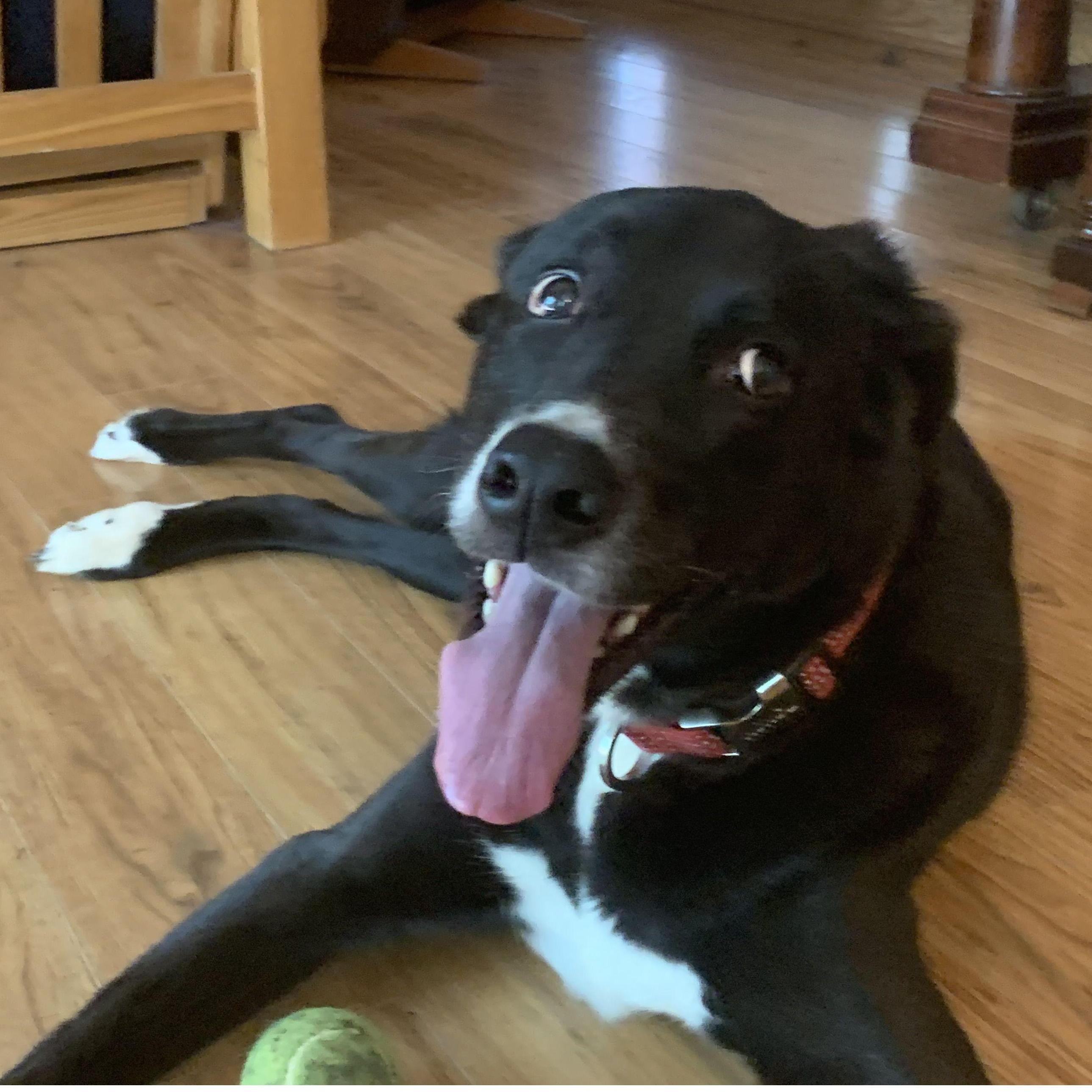 Ned, my best friend in the whole world.