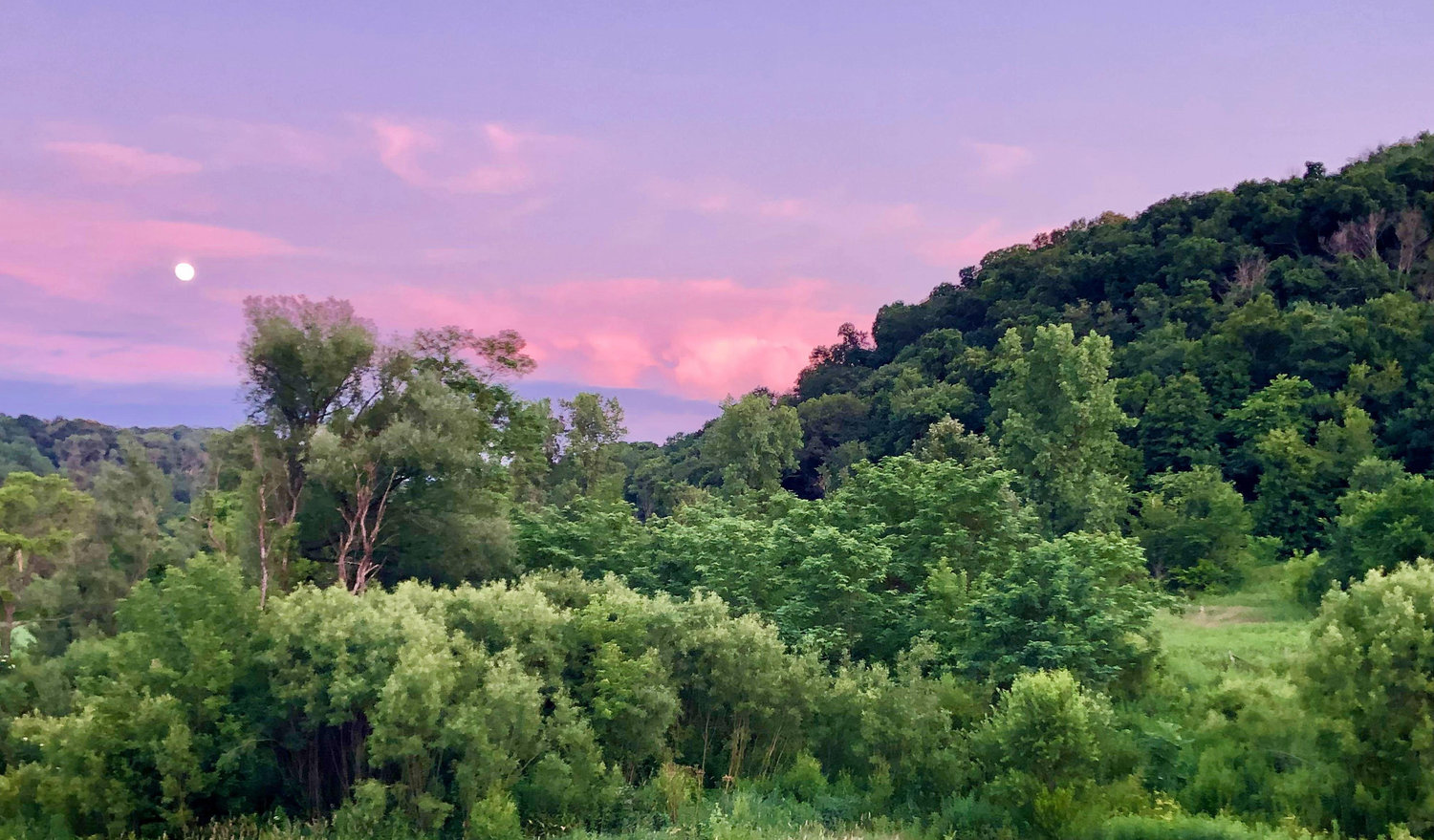 The Wedding Website of Jonathan Kobey and Kelly Wassell
