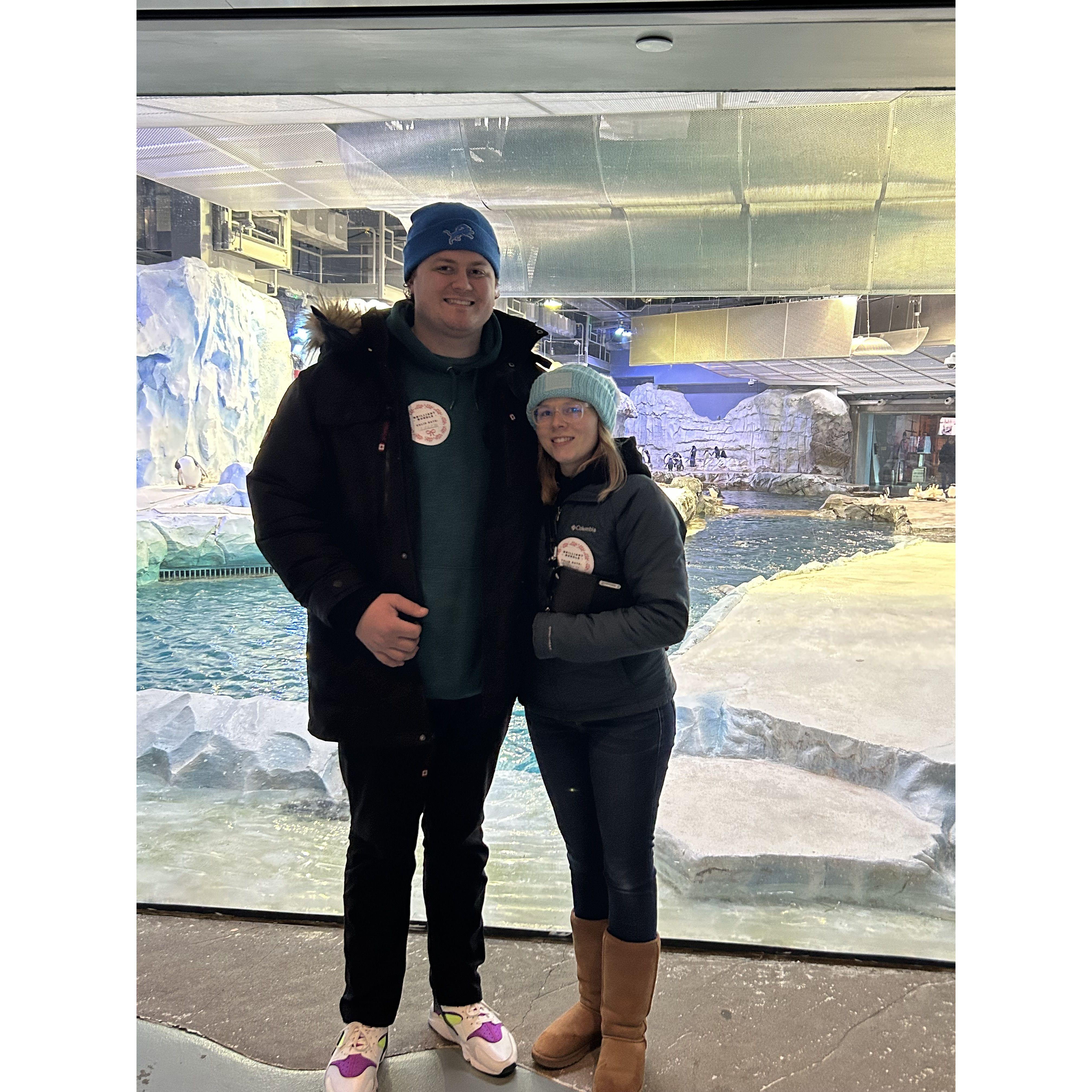 Seeing the penguins at the Detroit Zoo 2023.