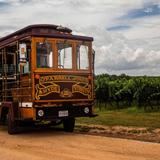 Temecula Cable Car & Wine Tours
