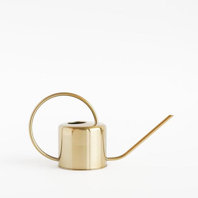 Gold Watering Can