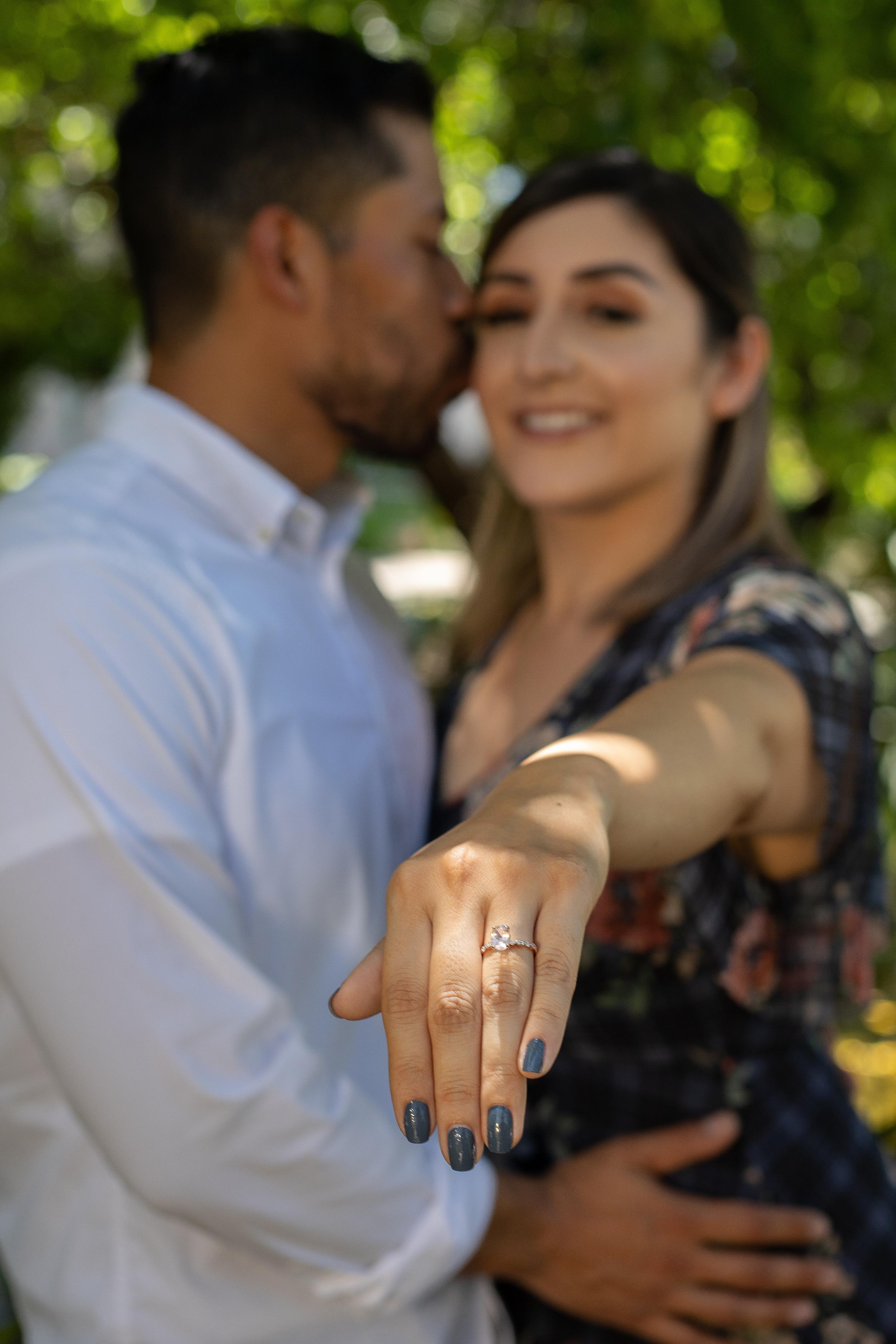 The Wedding Website of Desiree Dominguez and Jorge Gallegos