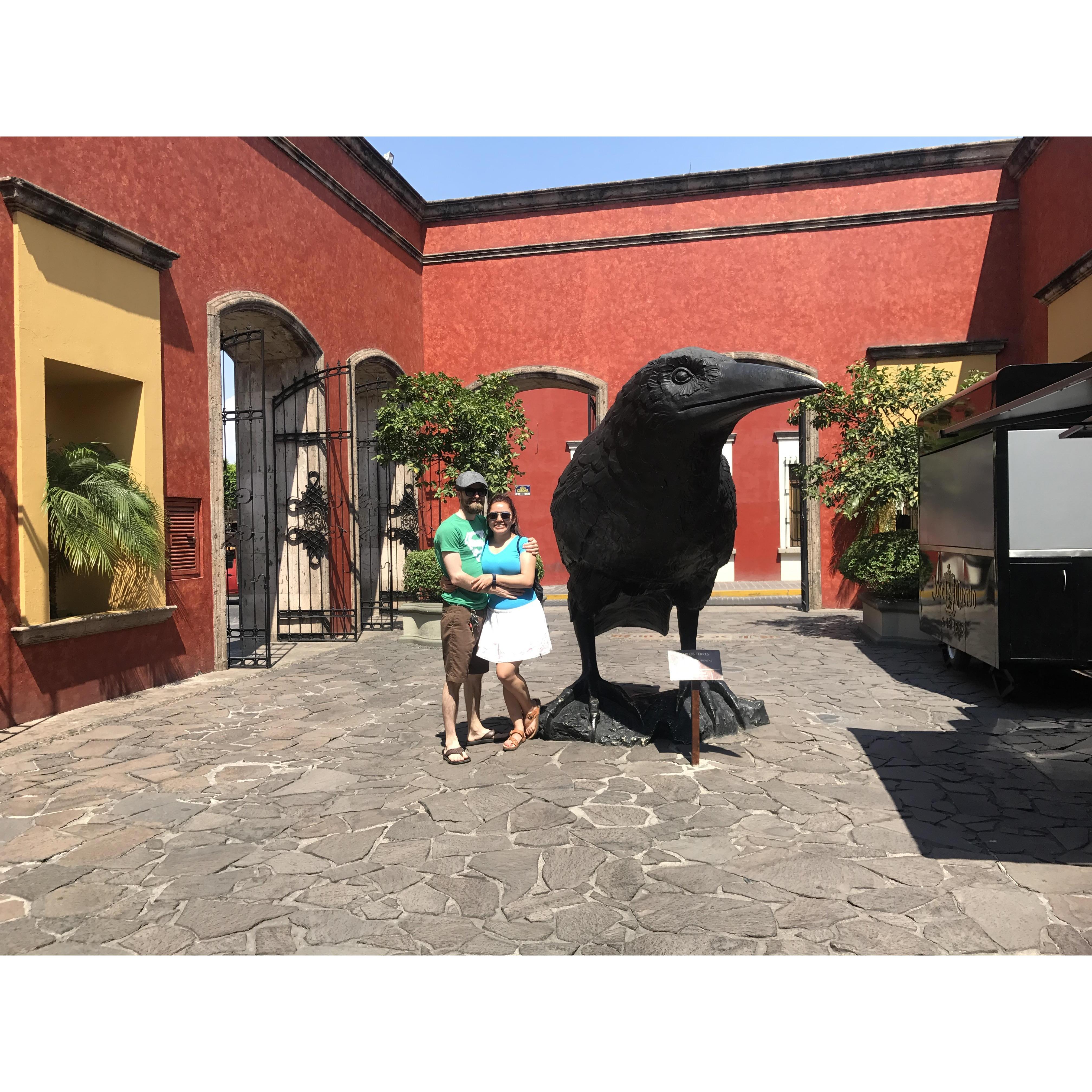 Tequila, Jalisco, 2017