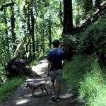 Joaquin Miller Park